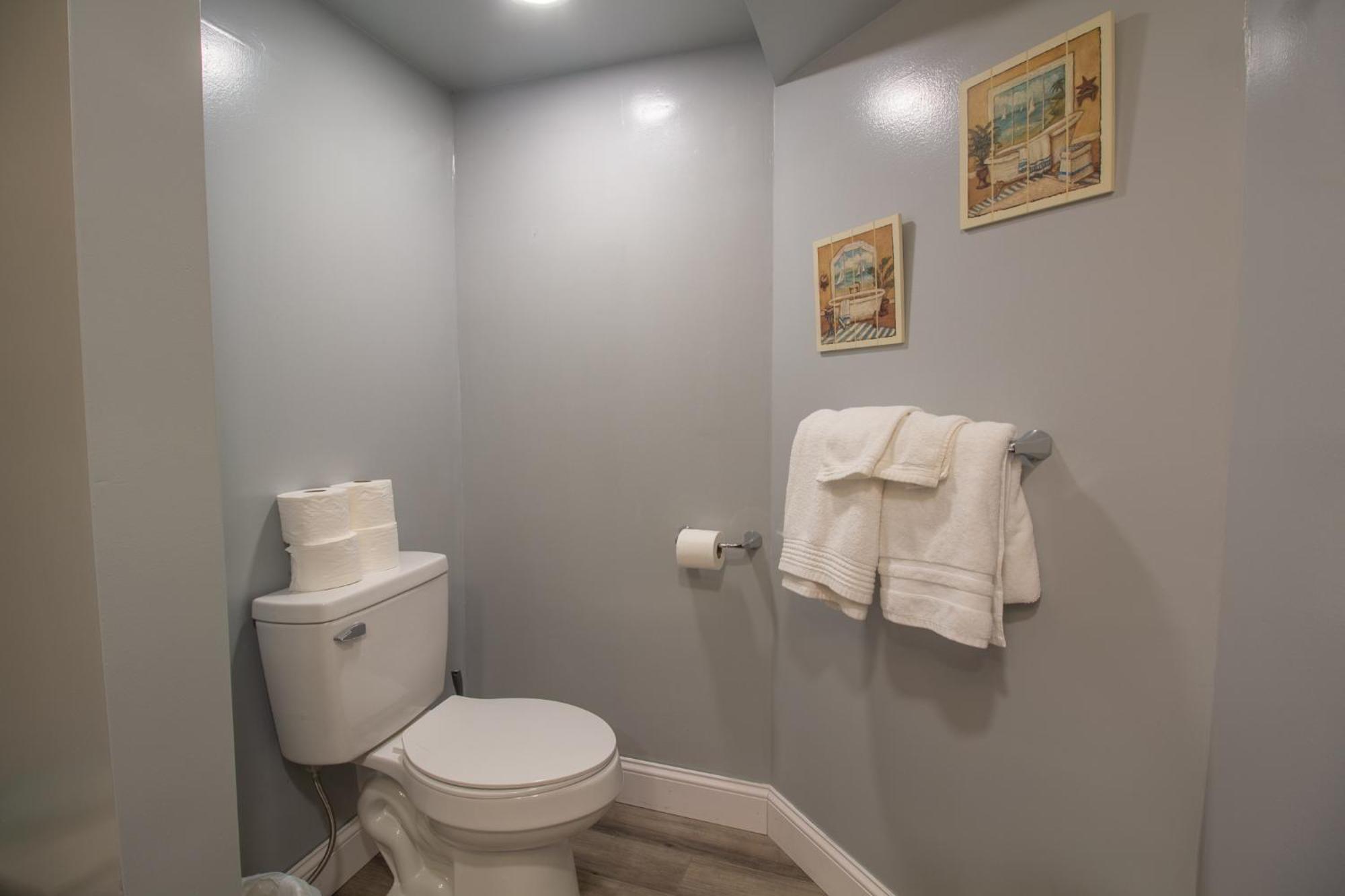 Stay In Ohiopyle In Town By The Gap Trail 外观 照片